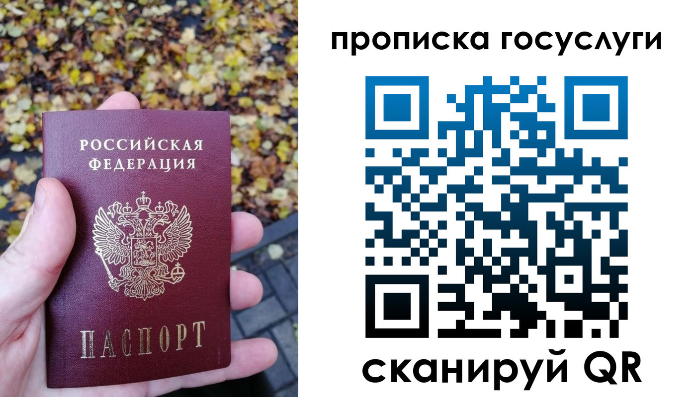 прописка поиск в Элисте